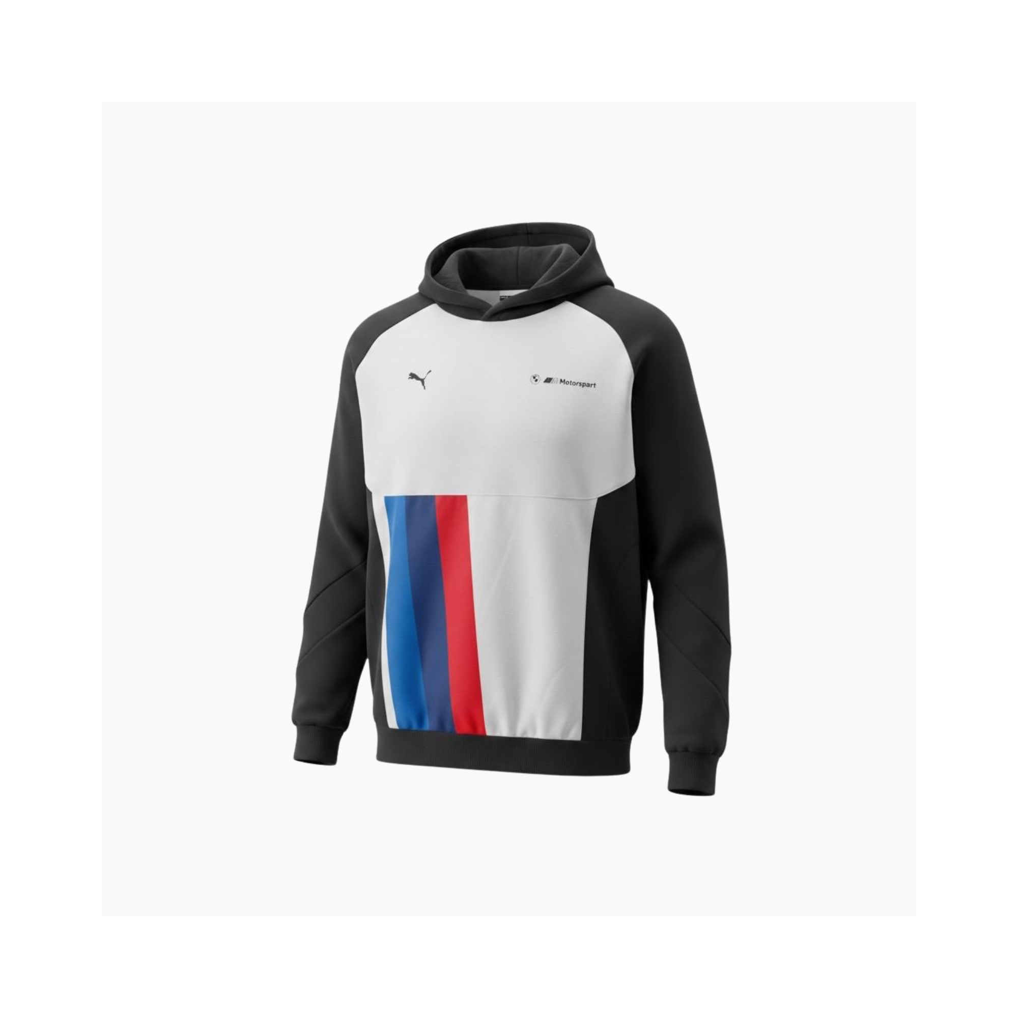 BUSO PUMA BMW